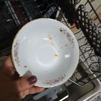 Vestel Bulaşık Makinesi Sorunu Bir Yıldır Çözülmedi