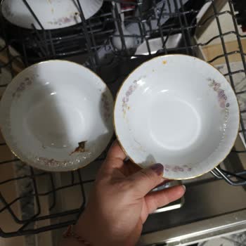 Vestel Bulaşık Makinesi Sorunu Bir Yıldır Çözülmedi