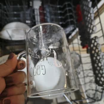 Vestel Bulaşık Makinesi Sorunu Bir Yıldır Çözülmedi