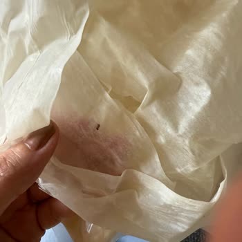 Aldığım Baklava Yufkasında Küf Ve Yabancı Maddeyle Karşılaştım