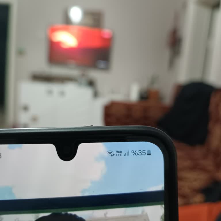 TÜRKSAT İnternet Çekim Sorunu Ve Yetersiz Destek