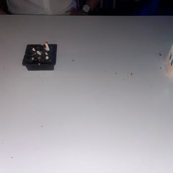 Balayı Hayalimiz Kâbusa Döndü: Diamond Of Bodrum Tam Bir Hayal Kırıklığı