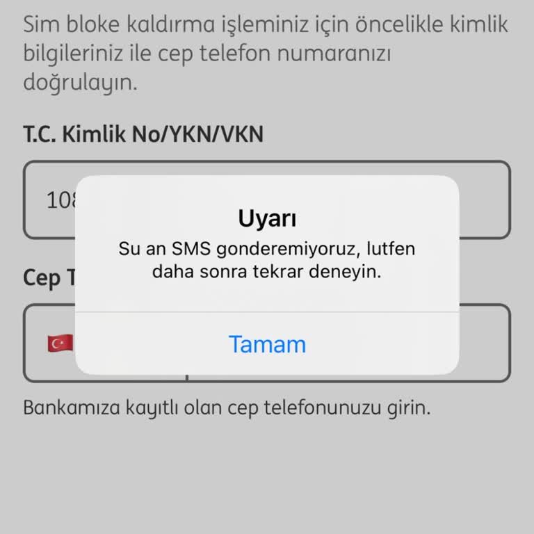 ING Banka SMS Aktivasyon Sorunu Ve Çözüm Bulamama