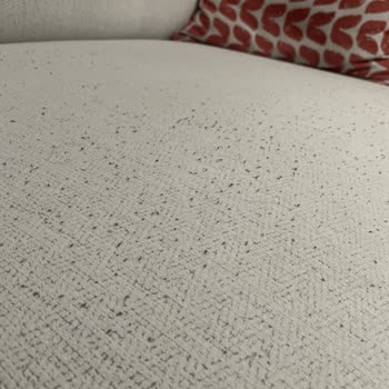 Koltukta 6 Ayda Ciddi Tüylenme Ve Yetersiz Servis Çözümü