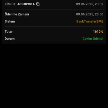 Betcool Çekim İşlemlerinde Gecikme Ve Müşteri Mağduriyeti