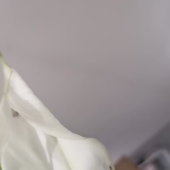 Çiçek Sepeti'nden Onaysız Ve Hatalı Çiçek Gönderimi, Yetersiz Müşteri Hizmetleri