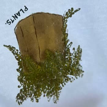 İlk Yıkamada Tişört Baskısı Bozuldu, Çözüm Sunulmadı