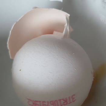 Aldığım Yumurtaların Kanlı Çıkması Nedeniyle Mağduriyet Yaşadım