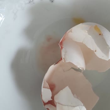 Aldığım Yumurtaların Kanlı Çıkması Nedeniyle Mağduriyet Yaşadım