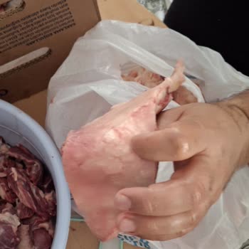 Carrefour SA'dan Aldığım Kurban Kolisi Yağ Ve Sakatat Dolu Çıktı