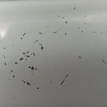 Sıfır Fiat Egea Cross Aracımda Boya Dökülmesi Ve Paslanma Mağduriyeti