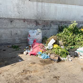 Bornova Kemalpaşa Mahallesi'nde Çöp Sorunu Ve Kötü Koku Şikayeti