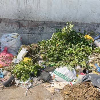Bornova Kemalpaşa Mahallesi'nde Çöp Sorunu Ve Kötü Koku Şikayeti
