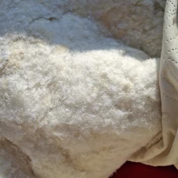 Yün Diye Aldığım Yastık Elyaf Çıktı Mağduriyetimi Nasıl Giderecekler Merak Ediyorum