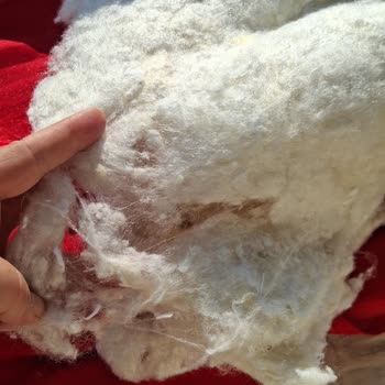 Yün Diye Aldığım Yastık Elyaf Çıktı Mağduriyetimi Nasıl Giderecekler Merak Ediyorum