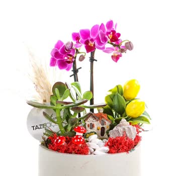 Sipariş Görseliyle Farklı Ürün Gönderildi, Onay Sürecinde Sorun Yaşadım