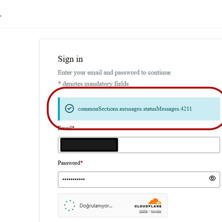 VFS Global'de Vize Başvuru Süreci Tam Bir Çıkmaz!
