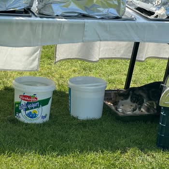 Otelin Hijyen Ve Yemek Sorunları Hayal Kırıklığı Yarattı