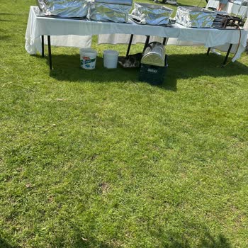 Otelin Hijyen Ve Yemek Sorunları Hayal Kırıklığı Yarattı