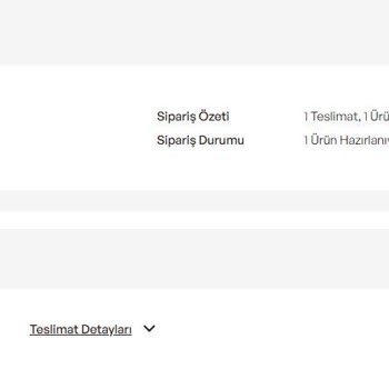 Siparişim 12 Gündür Kargoya Verilmedi, Destek Taleplerim Cevapsız Kaldı