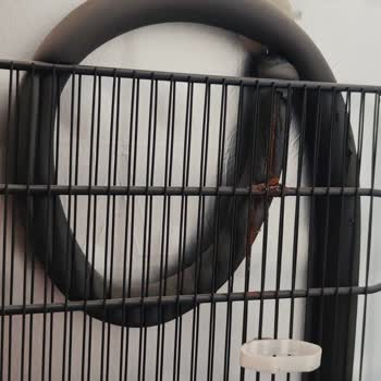 Derin Dondurucuda Fabrikasyon Hata Ve Paslanma Sorunu Nedeniyle Mağduriyet