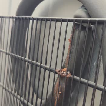 Derin Dondurucuda Fabrikasyon Hata Ve Paslanma Sorunu Nedeniyle Mağduriyet