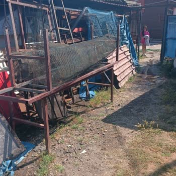 Kamp Alanında Temizlik Ve Hizmet Sorunları Uyku Ve Güvenliği Etkiliyor