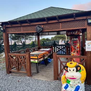 Çocuklar İçin Sağlıksız Ve Pahalı Parkın Kaldırılmasını İstiyoruz