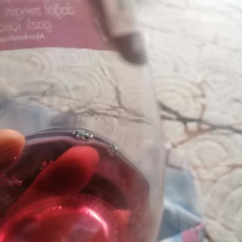 Meyveli Maden Suyunda Küf Ve Kötü Koku Sorunu Yaşadım