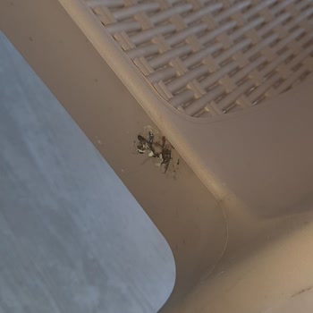 Kusurlu Ürün Ve İlgisiz Hizmet Nedeniyle Mağduriyet Yaşadım