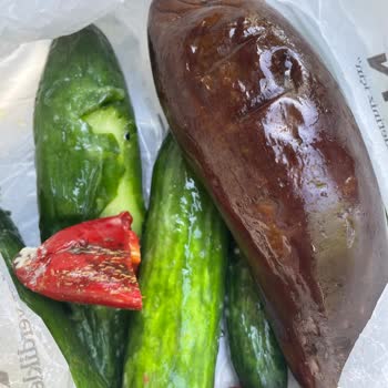 Yeni Buzdolabında Sebzeler 2 Günde Çürüyor, Sorunum Çözülmüyor