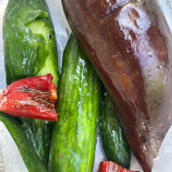 Yeni Buzdolabında Sebzeler 2 Günde Çürüyor, Sorunum Çözülmüyor