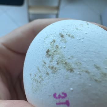 BİM'den Aldığım Yumurtalarda Küf Çıkması Ve Güven Sorunu