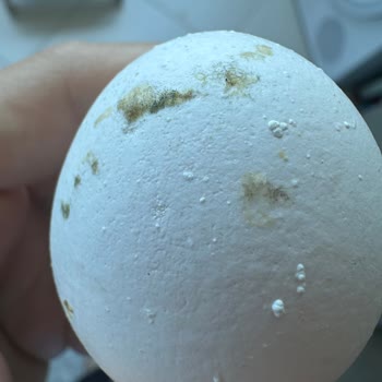 BİM'den Aldığım Yumurtalarda Küf Çıkması Ve Güven Sorunu