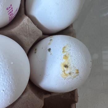 BİM'den Aldığım Yumurtalarda Küf Çıkması Ve Güven Sorunu