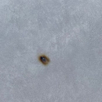 Teknik Servis Personelinin Kreşte Kapalı Alanda Sigara İçmesi Ve Zemine Zarar Vermesi