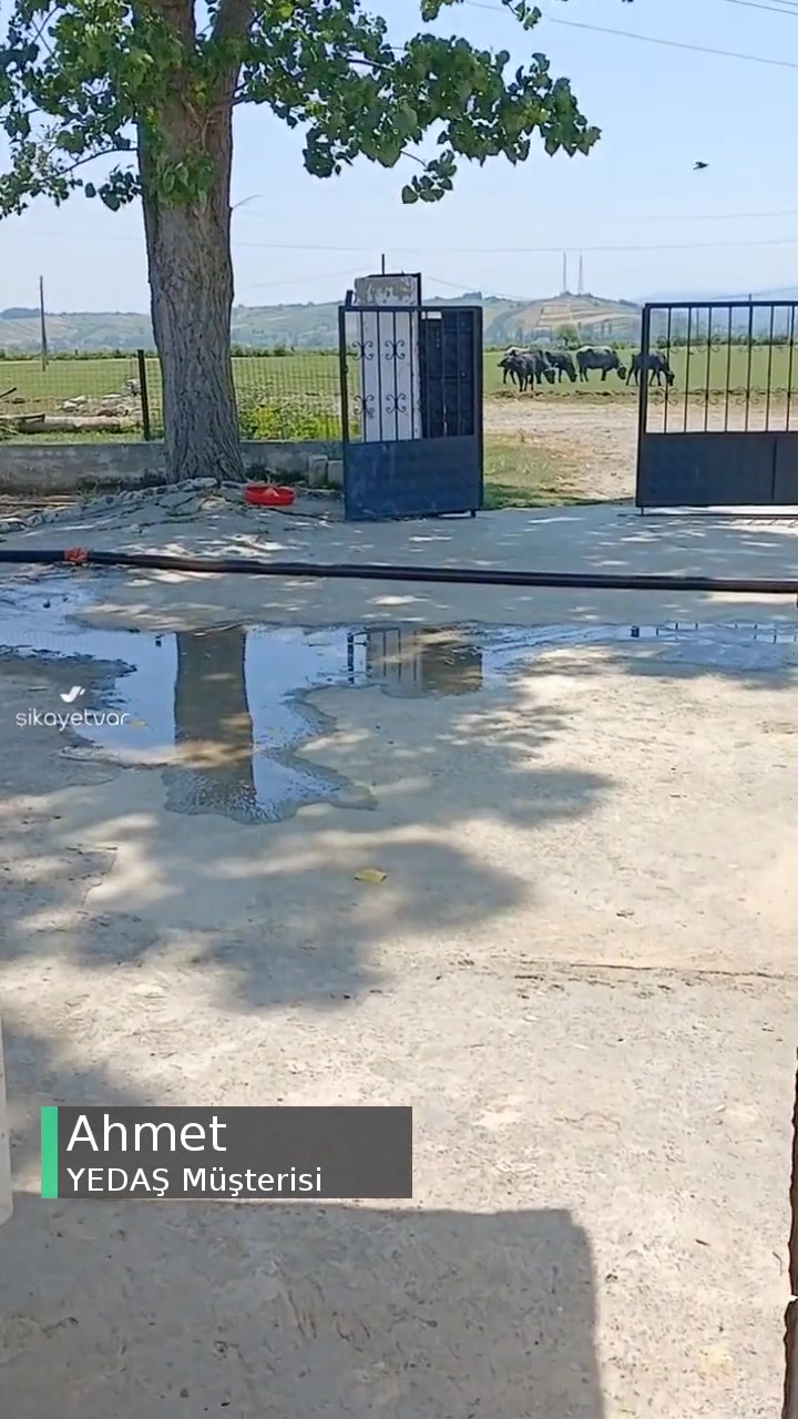 Volt Düşüklüğü Problemi Ve Yedaş'ın Umursamazlığı videonun kapak resmi