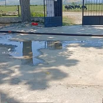 Volt Düşüklüğü Problemi Ve Yedaş'ın Umursamazlığı