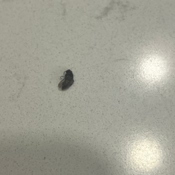 Beklentilerin Çok Altında Bir Konaklama Deneyimi