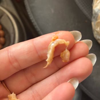 Osmaniye Park 328 AVM Usta Döner'de Çiğ Et Ve Kötü Muamele Şikayeti