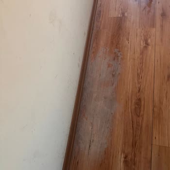 SSC Tur ile Mağdur Olma