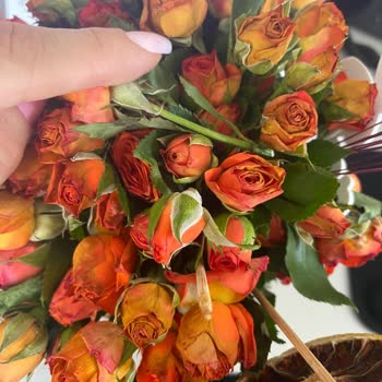 Çiçek Sepeti'nden Solmuş Ve Bozulmuş Çiçek Teslimatı, Müşteri Hizmetlerinde İlgisizlik