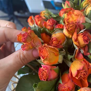 Çiçek Sepeti'nden Solmuş Ve Bozulmuş Çiçek Teslimatı, Müşteri Hizmetlerinde İlgisizlik