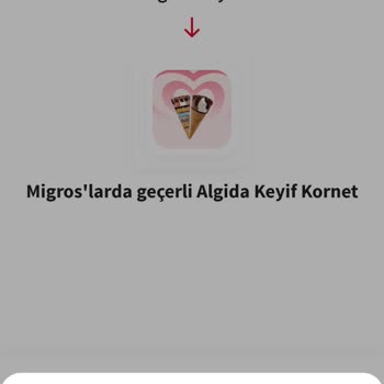 Algida İle Kazan Uygulamasında Şifre ve Kod Sorunları