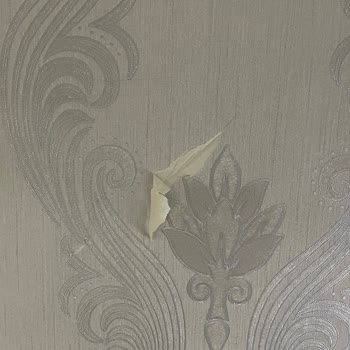 Teslimatta Zarar Ve İlgisizlik: Bellona Mimaroba Hayal Kırıklığı