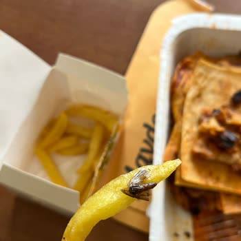 Siparişimde Ölü Sinek Çıktı, Sadece Patates Ücreti İade Edildi