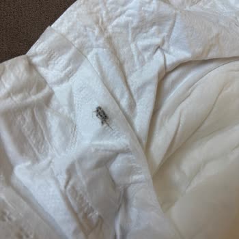 Bebek Bezinden Böcek Çıktı, Müşteriyle Dalga Geçiliyor