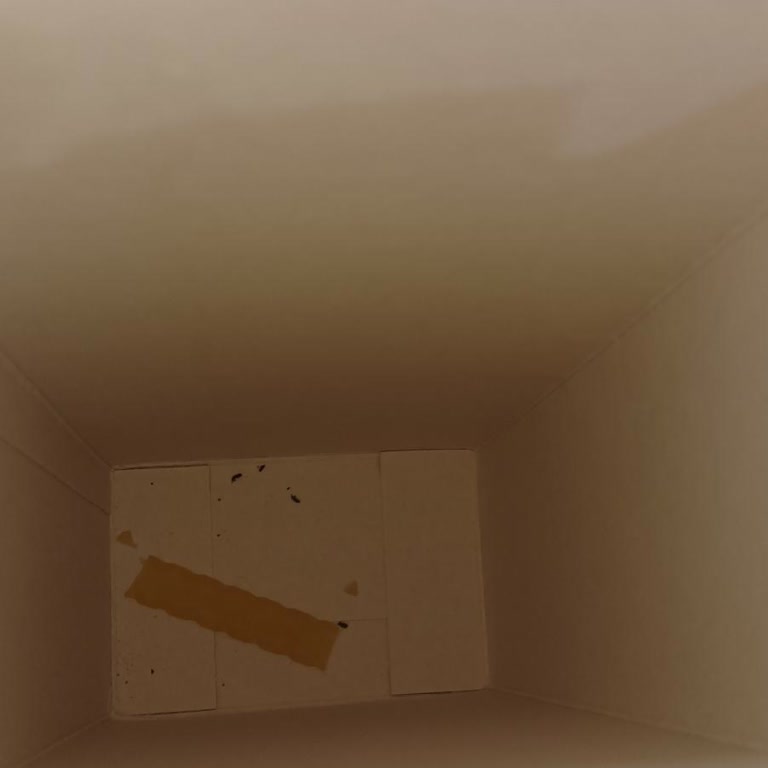 Barilla Макароны — Обнаружила насекомых внутри упаковки