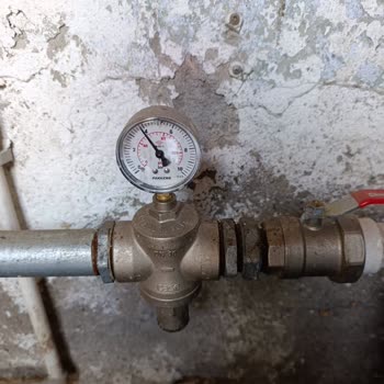 Wenta'dan Beklenmeyen İlgisizlik ve Hayal Kırıklığı