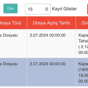 Borçlarımı Ödememe Rağmen Findeks Raporumda Hala Borçlu Görünüyorum